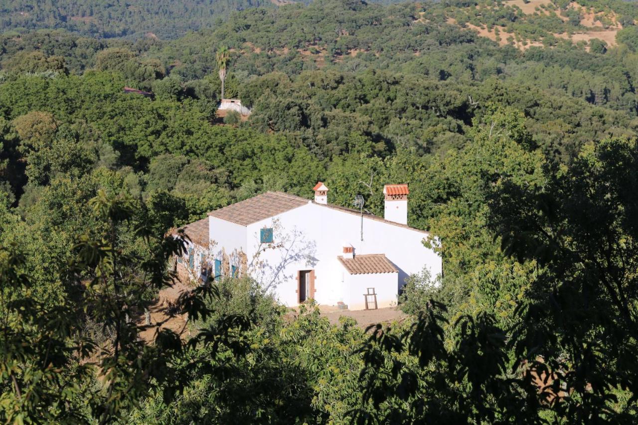 Casa Rural Castillo 자부고 외부 사진