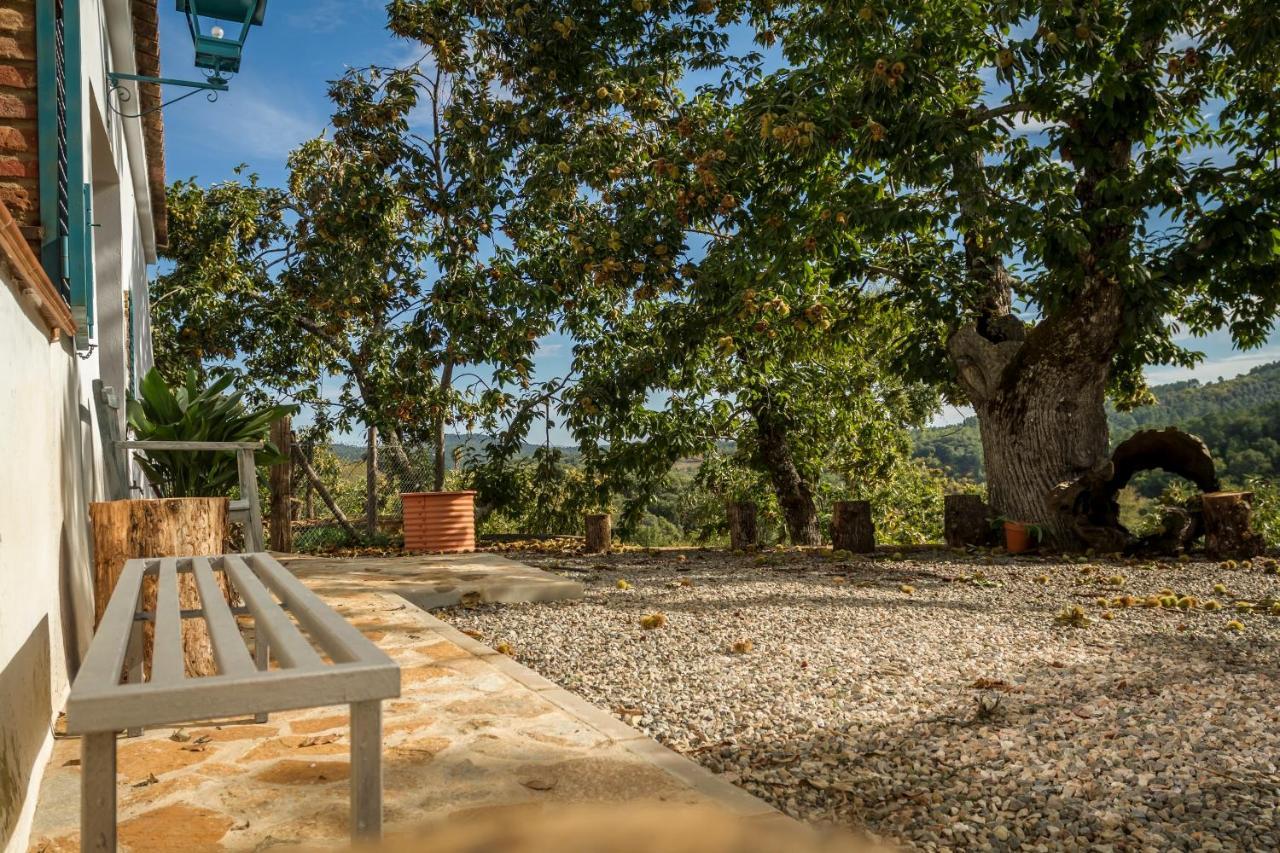 Casa Rural Castillo 자부고 외부 사진